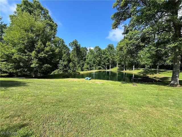 5174 Lightner Ridge Rd, Stockport, OH 43787 - photo 34