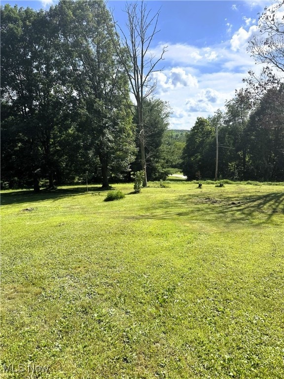 47990 Moore Rd, East Liverpool, OH 43920 - view of grassy yard