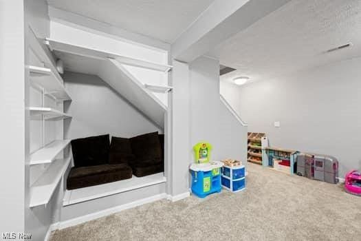 1932 Pinewood Ln, Painesville, OH 44077 - basement featuring carpet flooring