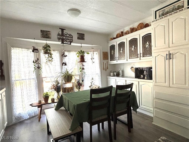 1229 Columbiana Lisbon Rd Unit 104, Columbiana, OH 44408 - dining area with healthy amount of natural light and dark wood-type flooring