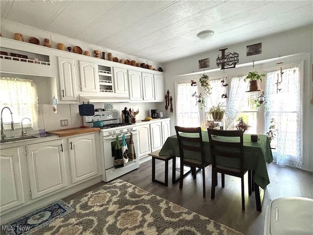 1229 Columbiana Lisbon Rd Unit 104, Columbiana, OH 44408 - kitchen featuring white gas stove, white cabinets, and dark wood-style floors