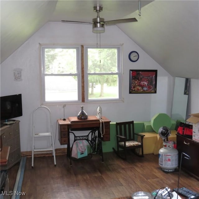 4018 Steubenville Rd SE, Amsterdam, OH 43903 - bonus room with lofted ceiling, wood finished floors, and ceiling fan