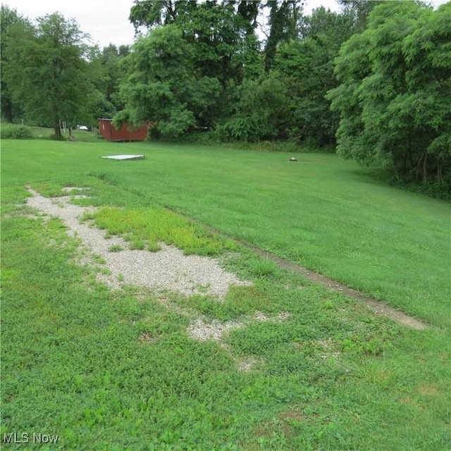4018 Steubenville Rd SE, Amsterdam, OH 43903 - view of green lawn