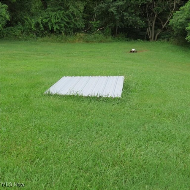 4018 Steubenville Rd SE, Amsterdam, OH 43903 - view of green lawn