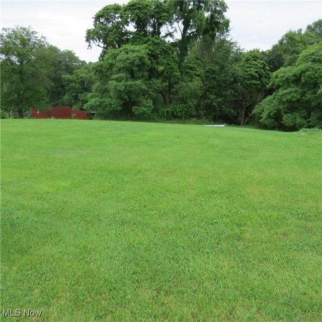 4018 Steubenville Rd SE, Amsterdam, OH 43903 - view of green lawn with a forest view