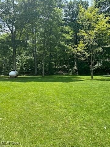 66421 Wolfs Den Rd, Cambridge, OH 43725 - view of green lawn