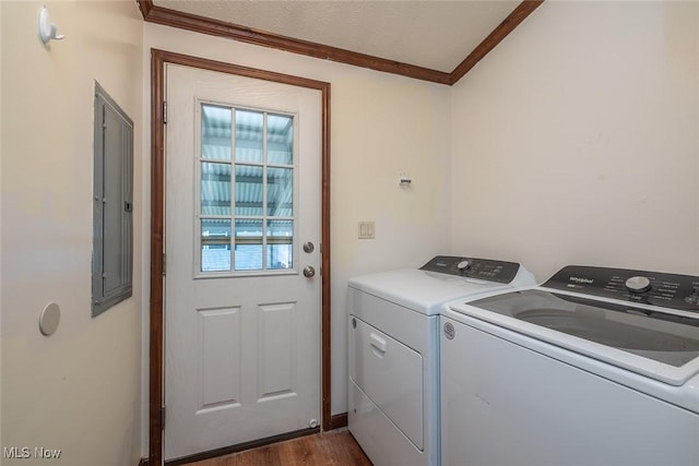 19 Pageant Ln, Olmsted Twp, OH 44138 - washroom with washer and clothes dryer, ornamental molding, dark wood-style floors, and electric panel