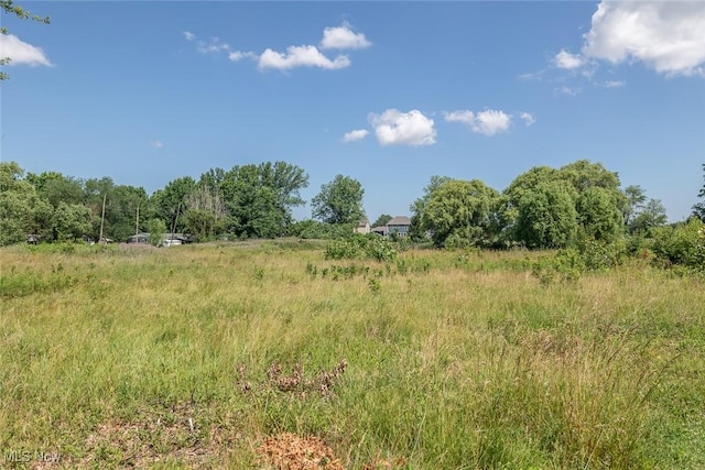 19 Pageant Ln, Olmsted Twp, OH 44138 - view of undeveloped land featuring rural landscape