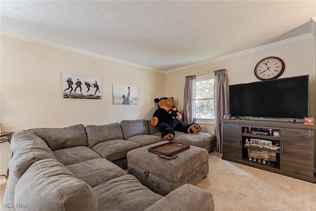 530 N Scranton St, Ravenna, OH 44266 - living area with crown molding, carpet floors, and a textured ceiling