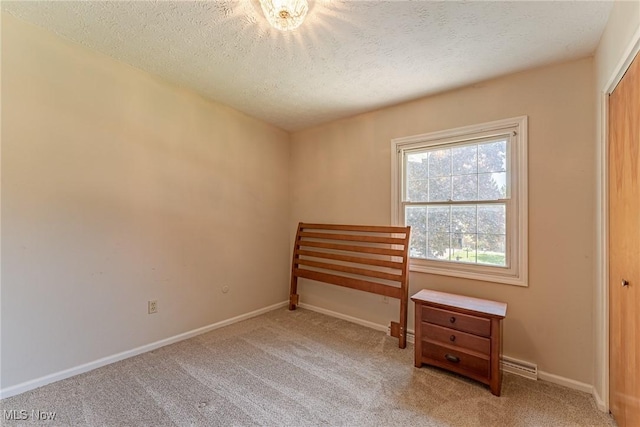 530 N Scranton St, Ravenna, OH 44266 - unfurnished bedroom featuring carpet, a textured ceiling, and a closet
