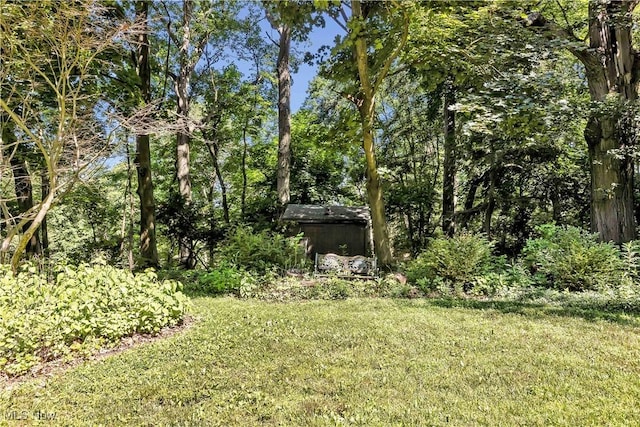 17100 Amber Dr, Cleveland, OH 44111 - photo 29