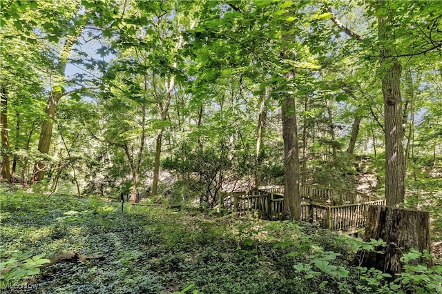 17100 Amber Dr, Cleveland, OH 44111 - photo 33