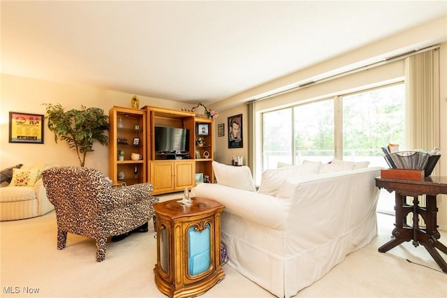 2112 Acacia Park Dr Unit 220, Lyndhurst, OH 44124 - living area with light colored carpet