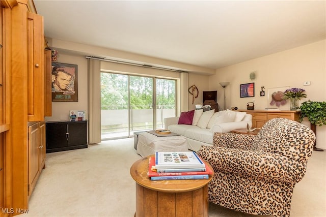 2112 Acacia Park Dr Unit 220, Lyndhurst, OH 44124 - living room with light colored carpet
