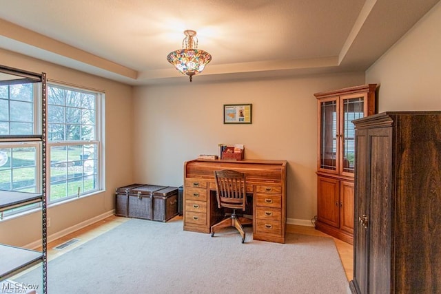 8121 Hitchcock Rd Unit 11, Boardman, OH 44512 - office featuring a tray ceiling and light carpet