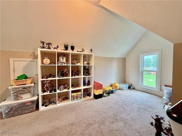 5519 4th Ave, Vienna, WV 26105 - rec room with vaulted ceiling, carpet flooring, and a textured ceiling