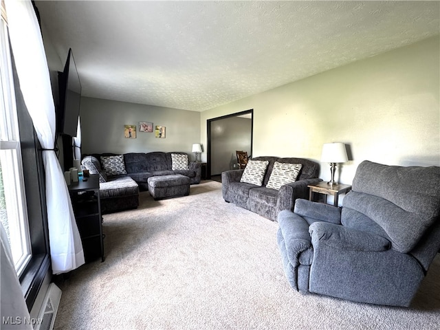 607 Wyndclift Cir, Austintown, OH 44515 - carpeted living area featuring a textured ceiling