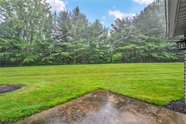 9543 Ridge Ct, Twinsburg, OH 44087 - view of green lawn