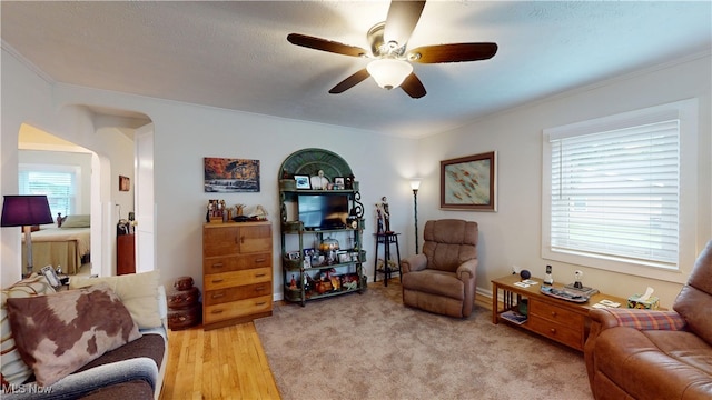 500 Elm St, Belpre, OH 45714 - living room featuring ceiling fan, ornamental molding, and arched walkways