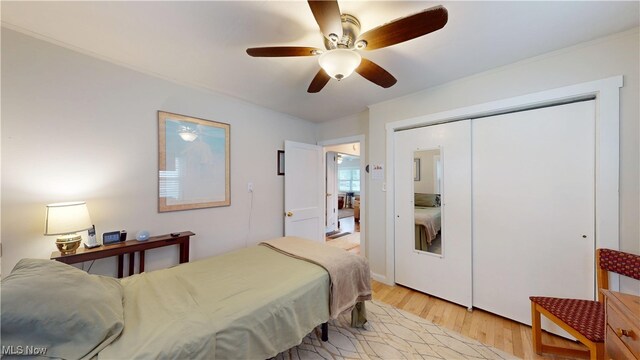 500 Elm St, Belpre, OH 45714 - bedroom with light wood finished floors, a closet, and a ceiling fan