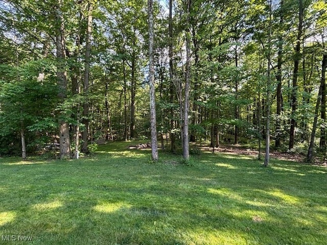 58 Highland Mist Cir, Hinckley, OH 44233 - photo 41