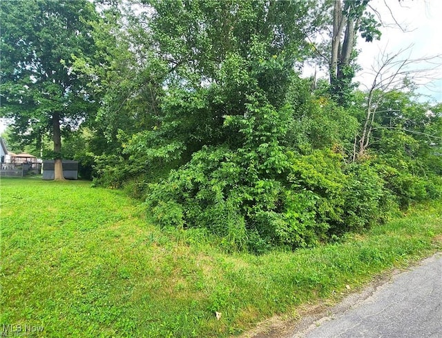Edith Ave, Akron, OH 44312