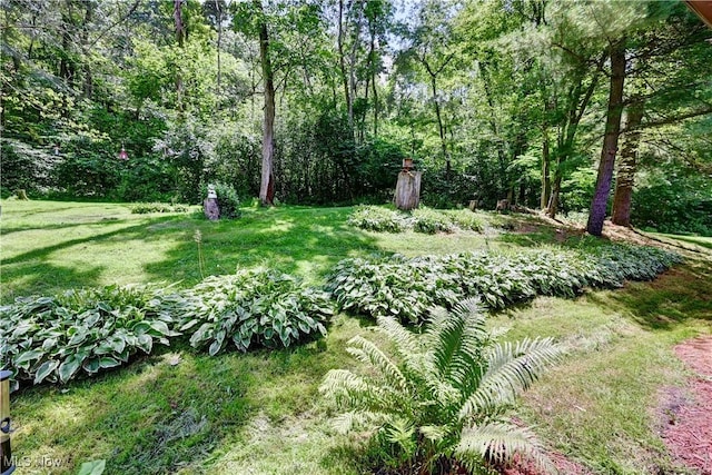 5882 Crooked Run Rd SW, New Philadelphia, OH 44663 - view of grassy yard