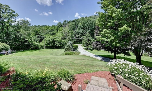 5882 Crooked Run Rd SW, New Philadelphia, OH 44663 - view of grassy yard