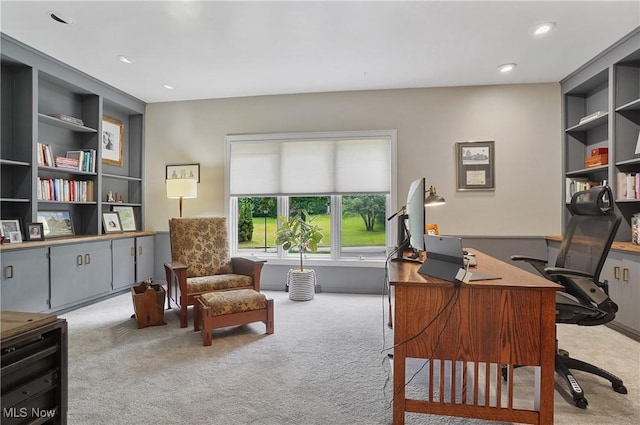 889 Eaton Ave, Akron, OH 44303 - carpeted office featuring recessed lighting and built in features