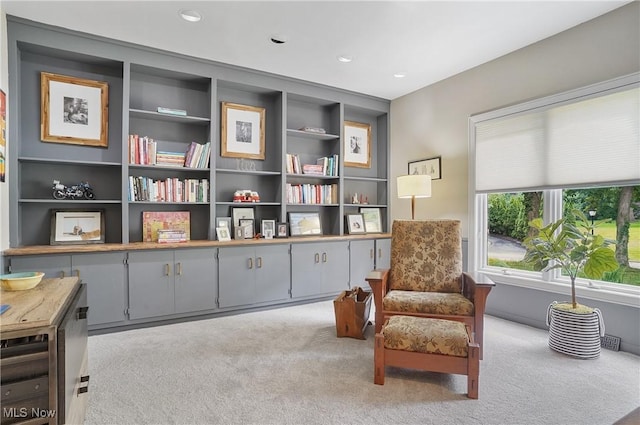 889 Eaton Ave, Akron, OH 44303 - living area with carpet, built in features, and recessed lighting