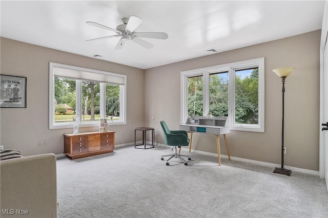 889 Eaton Ave, Akron, OH 44303 - office space with carpet floors and a ceiling fan