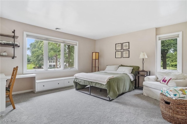 889 Eaton Ave, Akron, OH 44303 - bedroom with light colored carpet and a desk