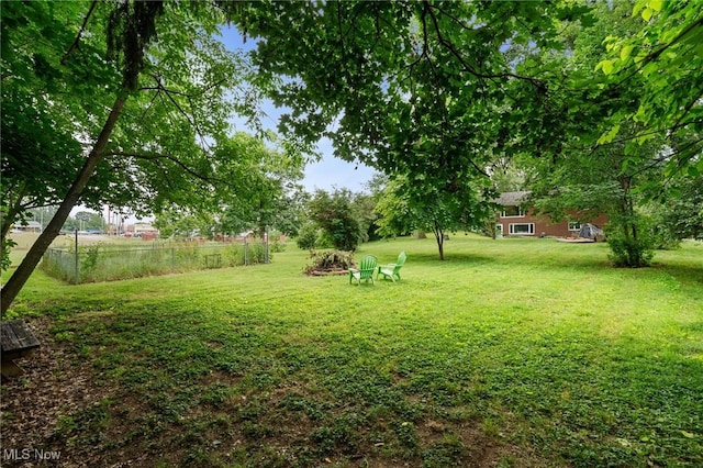 903 Robinson Ave, Barberton, OH 44203 - view of green lawn