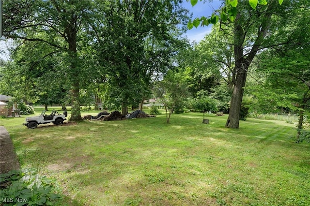 903 Robinson Ave, Barberton, OH 44203 - view of green lawn featuring view of wooded area