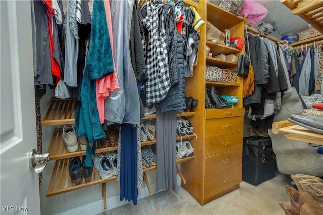 31 Anns Dr, Vienna, WV 26105 - walk in closet with carpet flooring