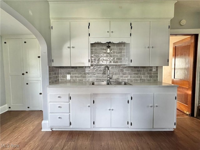 825 Summit St, Salem, OH 44460 - kitchen featuring light countertops, backsplash, and dark wood-type flooring