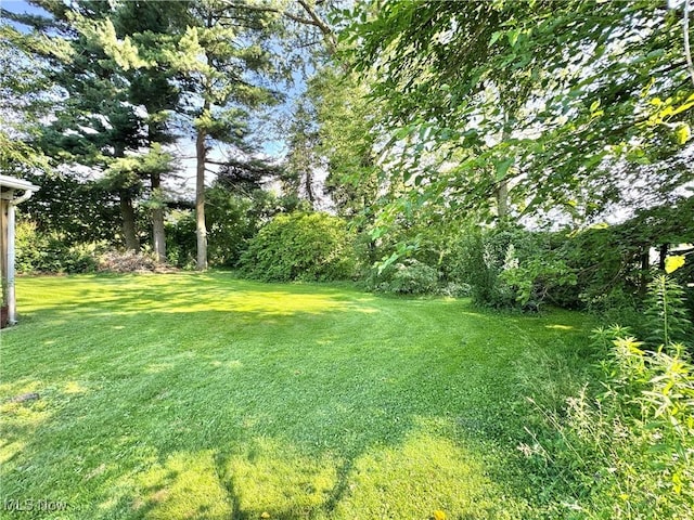 825 Summit St, Salem, OH 44460 - view of green lawn