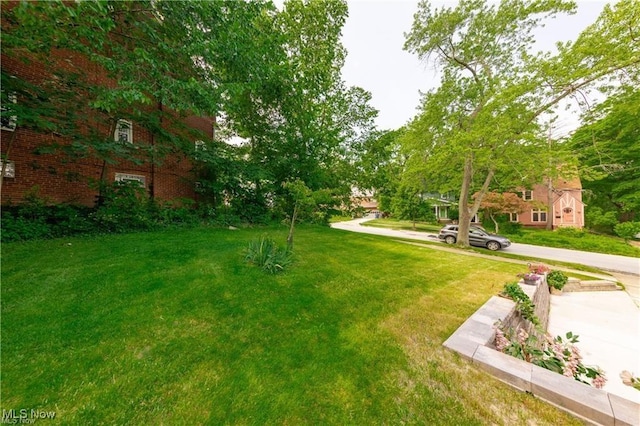 3488 Meadowbrook Blvd, Cleveland Heights, OH 44118 - photo 35