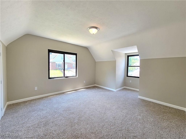 1006 Jackson Ave, Parkersburg, WV 26101 - additional living space with lofted ceiling, carpet, and a textured ceiling