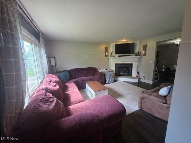 221 S Elm St, Jefferson, OH 44047 - living room with wood finished floors and a fireplace with raised hearth
