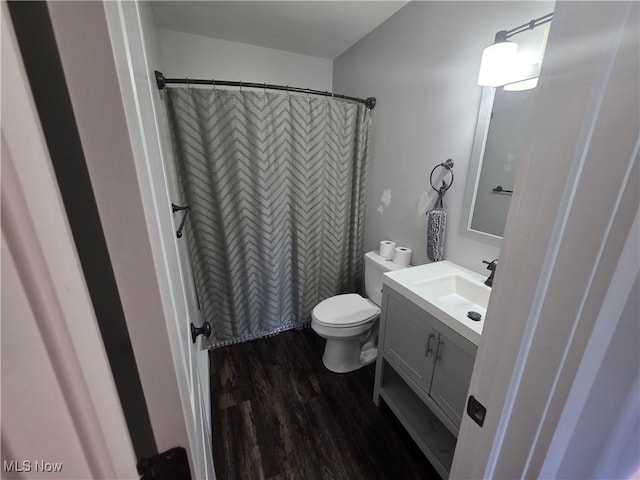 221 S Elm St, Jefferson, OH 44047 - full bathroom with wood finished floors, vanity, and a shower with shower curtain