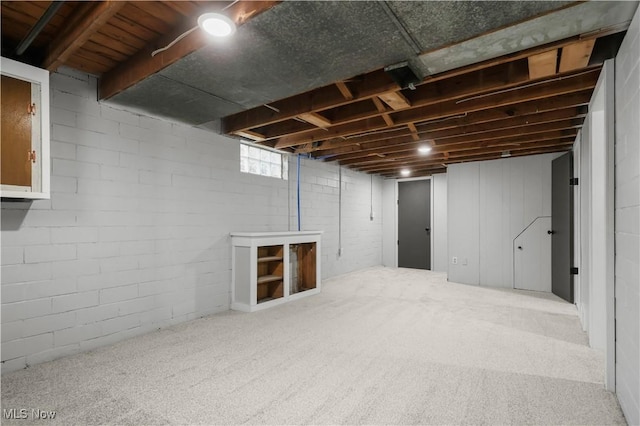 1146 Raff Rd SW, Canton, OH 44710 - below grade area with carpet flooring
