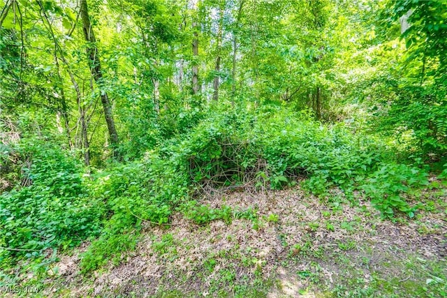 2577 Sweitzer Rd, Uniontown, OH 44685 - photo 41