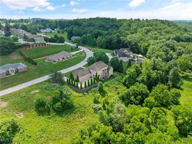 112 Caraplace, Wintersville, OH 43953 - bird's eye view of a heavily wooded area