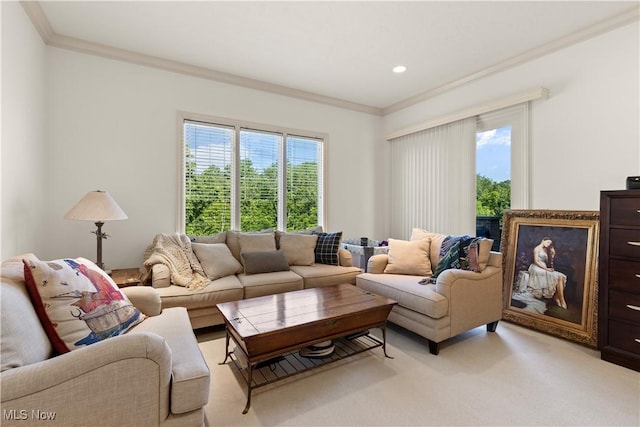 112 Caraplace, Wintersville, OH 43953 - living area with crown molding and light colored carpet