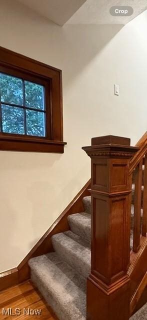 21430 Lakeshore Blvd, Euclid, OH 44123 - stairway featuring wood finished floors