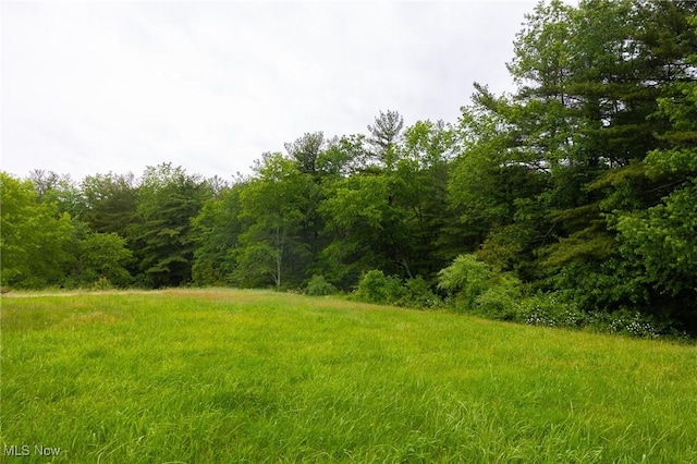2461 Peters Creek Rd, Cambridge, OH 43725 - view of undeveloped land