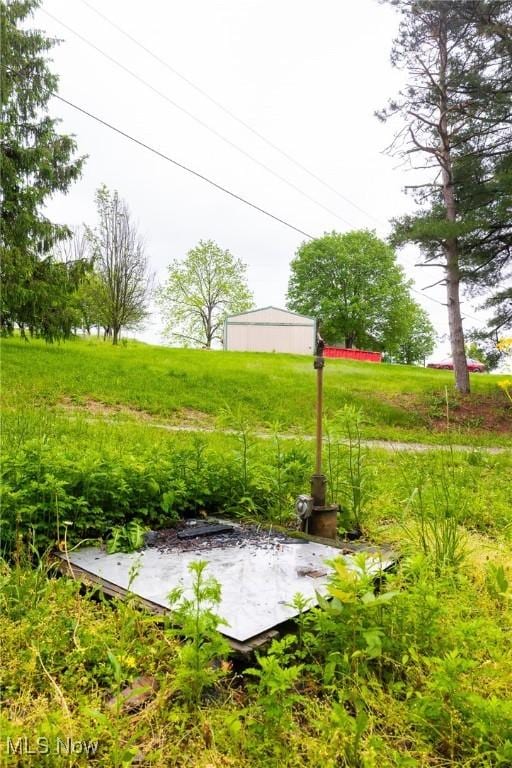 2461 Peters Creek Rd, Cambridge, OH 43725 - view of yard