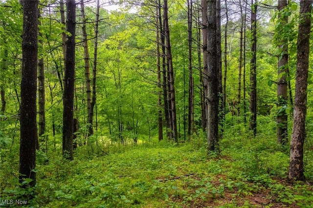 2461 Peters Creek Rd, Cambridge, OH 43725 - view of tree filled area