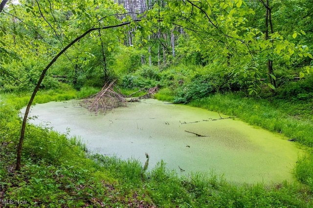 2461 Peters Creek Rd, Cambridge, OH 43725 - surrounding community with a wooded view